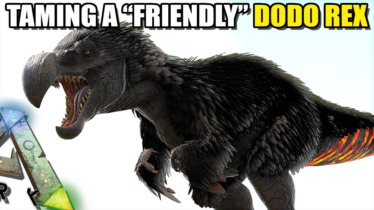 WE TAME A 