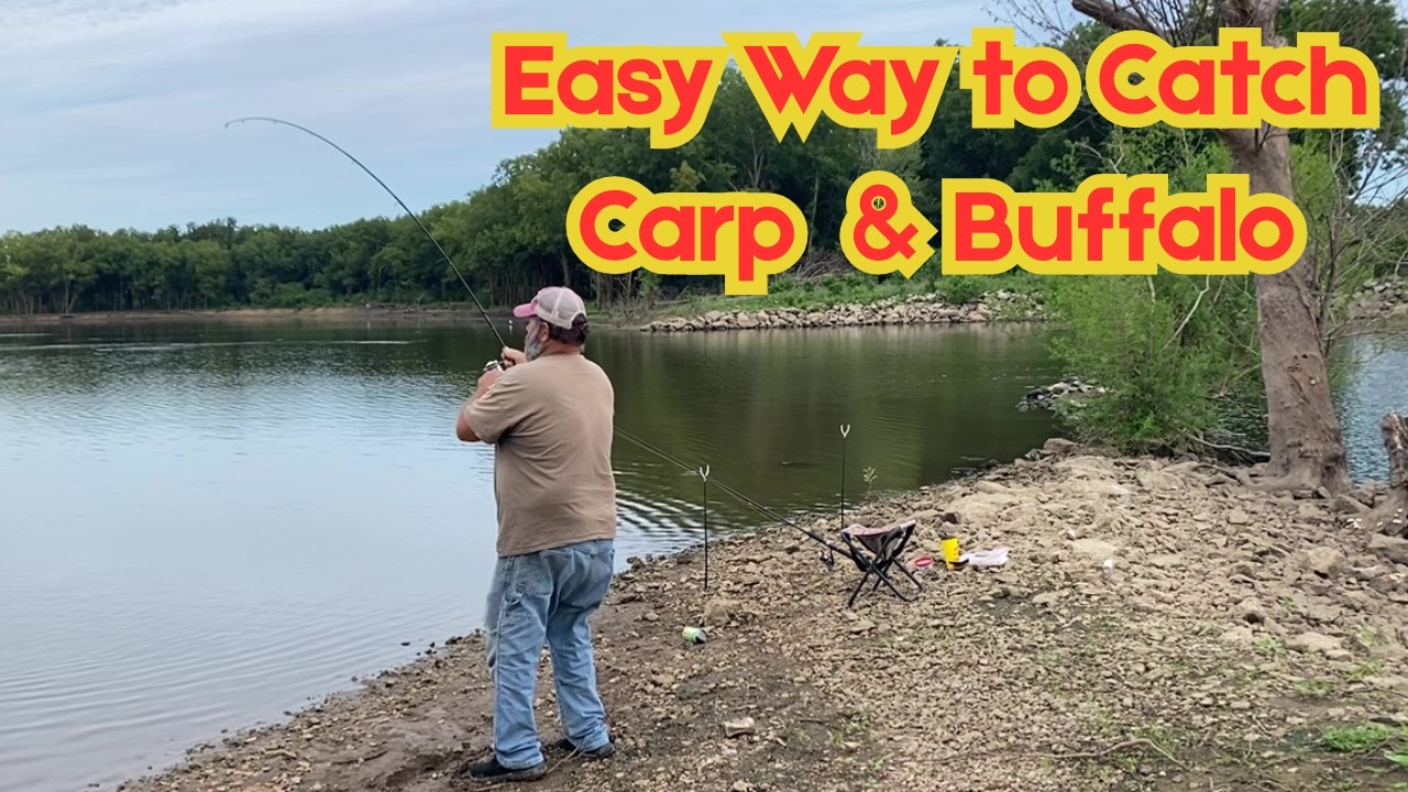 Easy Way to Catch Carp & Buffalo