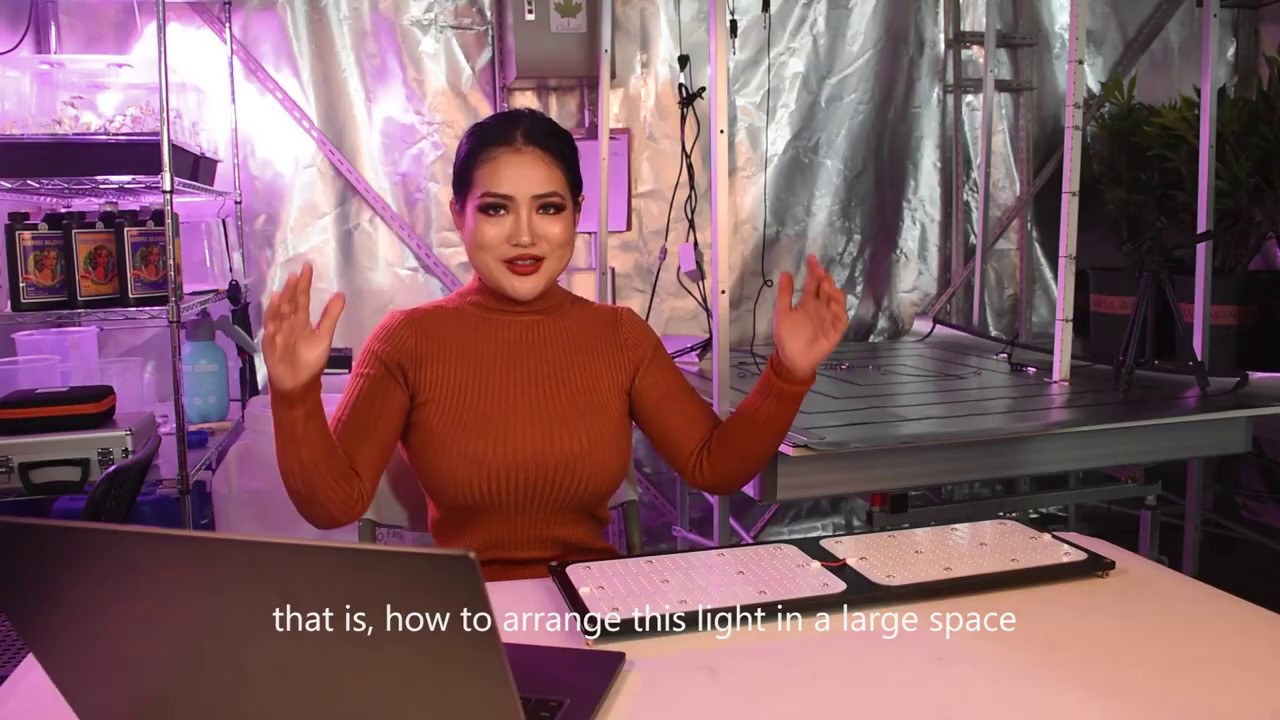 Eco Farm 240W LM301B LED Quantum Board Review, PAR Testing-Part 3