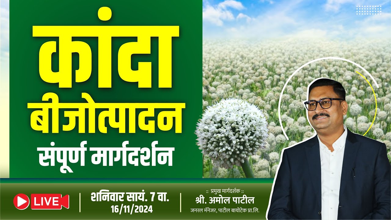 कांदा बीजो  उत्पादन संपूर्ण मार्गदर्शन   Kanda bijo utpadan samapurn margdarshan