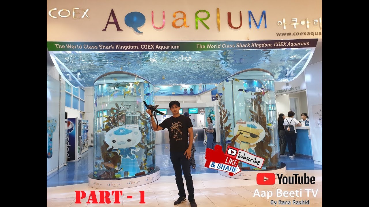 COEX Aquarium (Part - 1) Seoul South Korea (코엑스 아쿠아리움) - By Rana Rashid