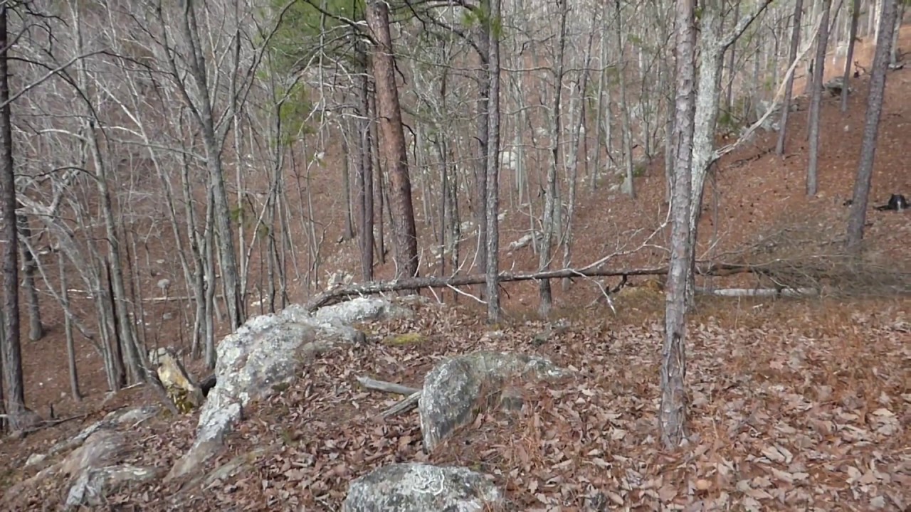 Alabama Bigfoot Hunting Bigfoot Ridge