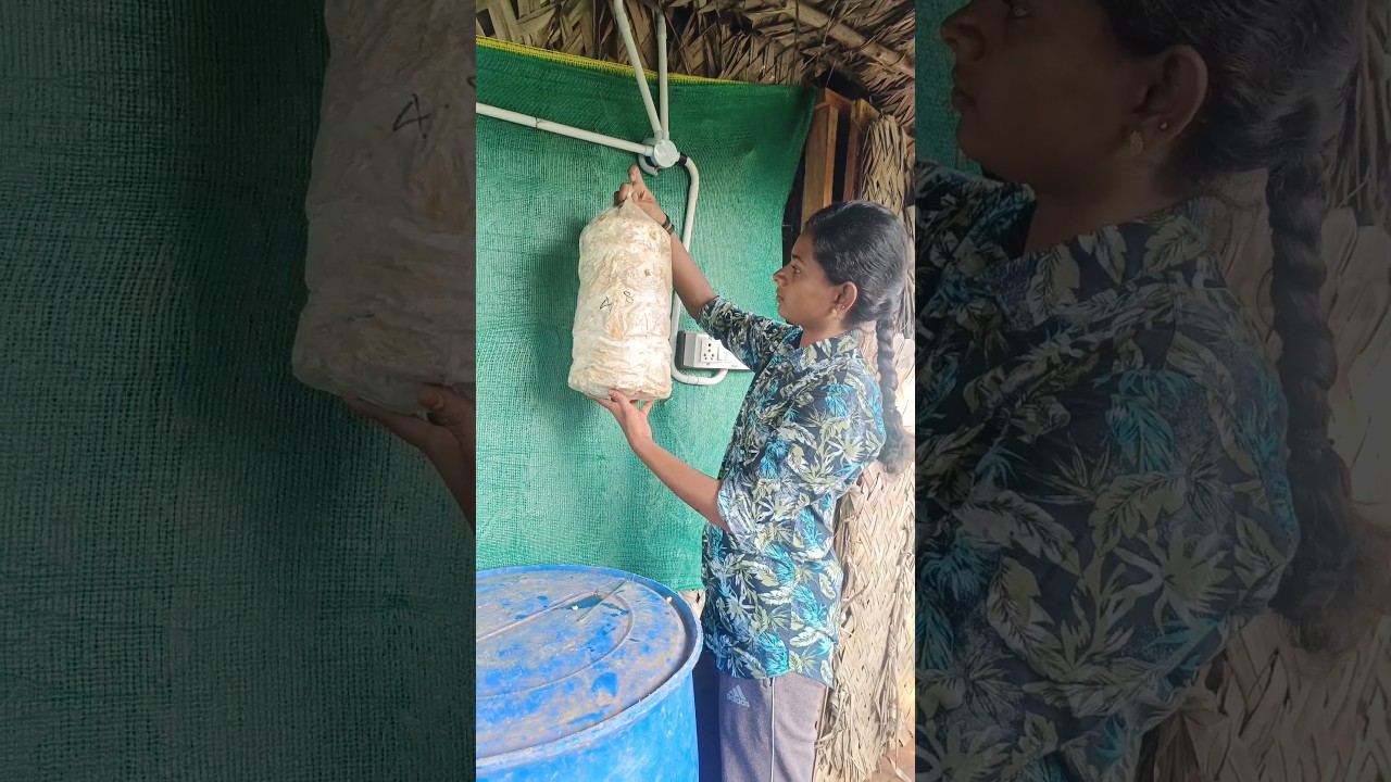 Kalan bet kettu poiduchunga 😭🍄 #shots #farming