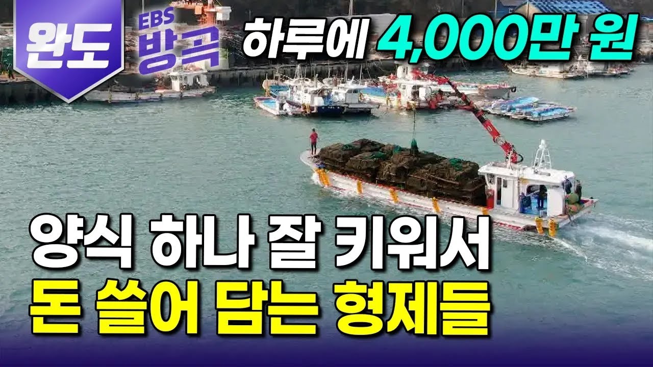 [전남 완도] 