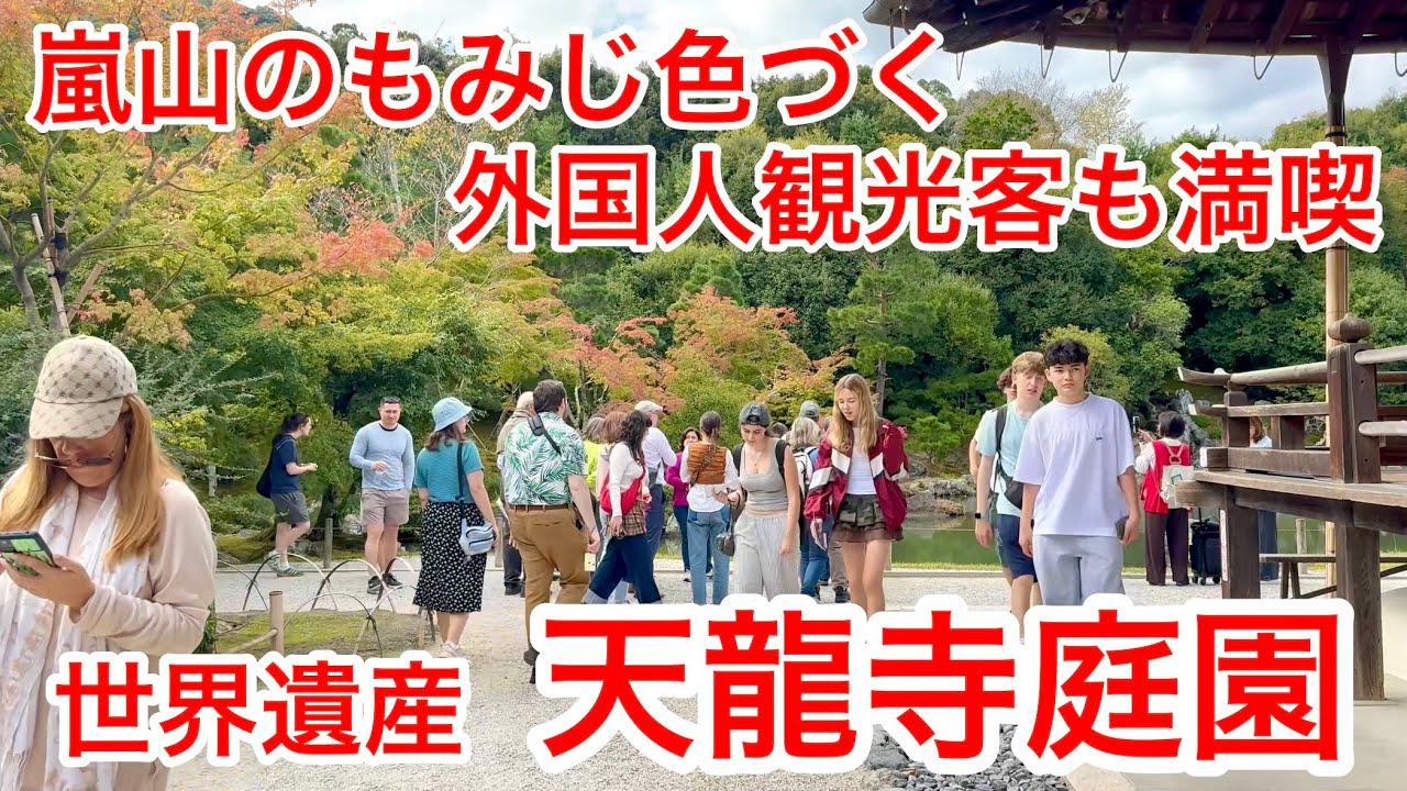 2025年10月24日 嵐山のもみじ🍁も色づく 外国人観光客も満喫する世界遺産天龍寺庭園 Tenryuji Temple Garden, Arashiyama