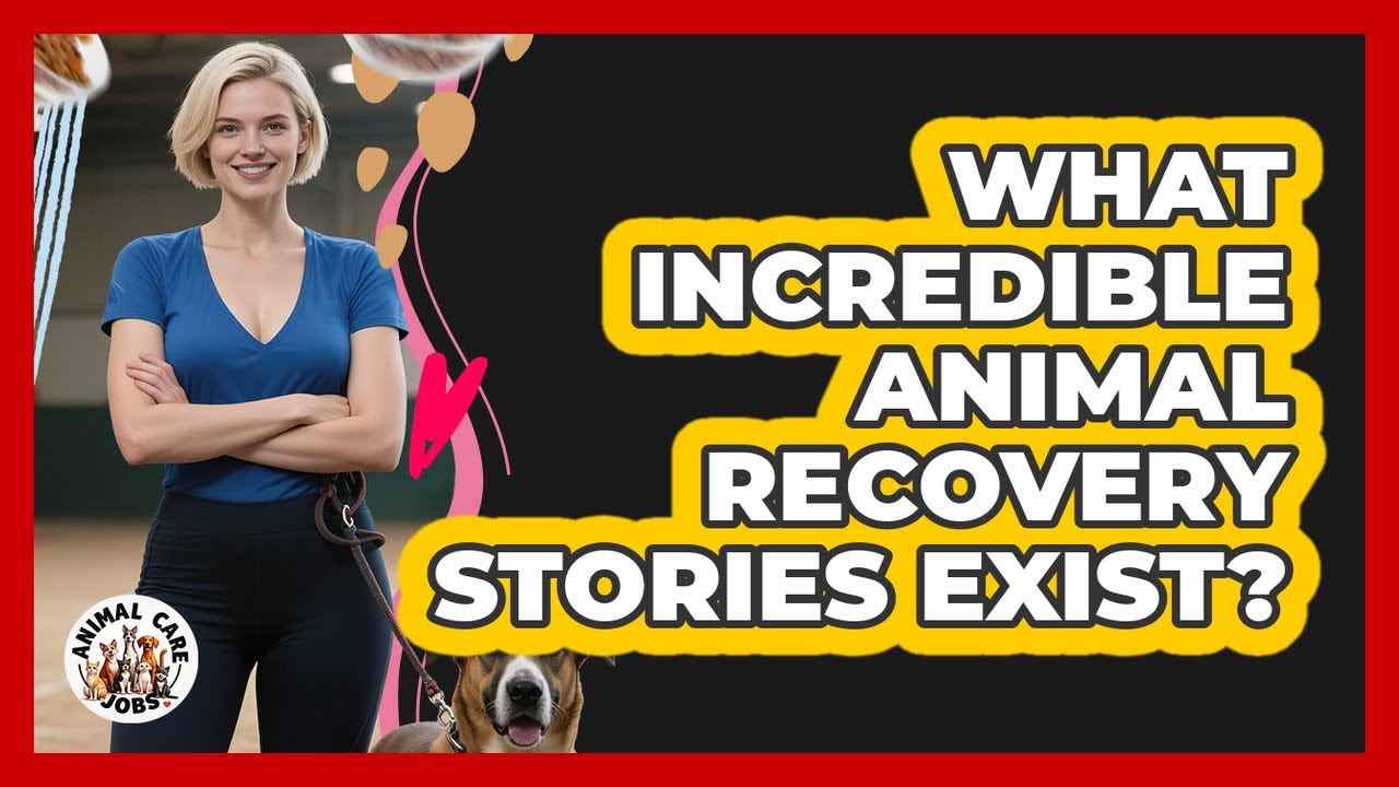 What Incredible Animal Recovery Stories Exist? - Animal Care Jobs