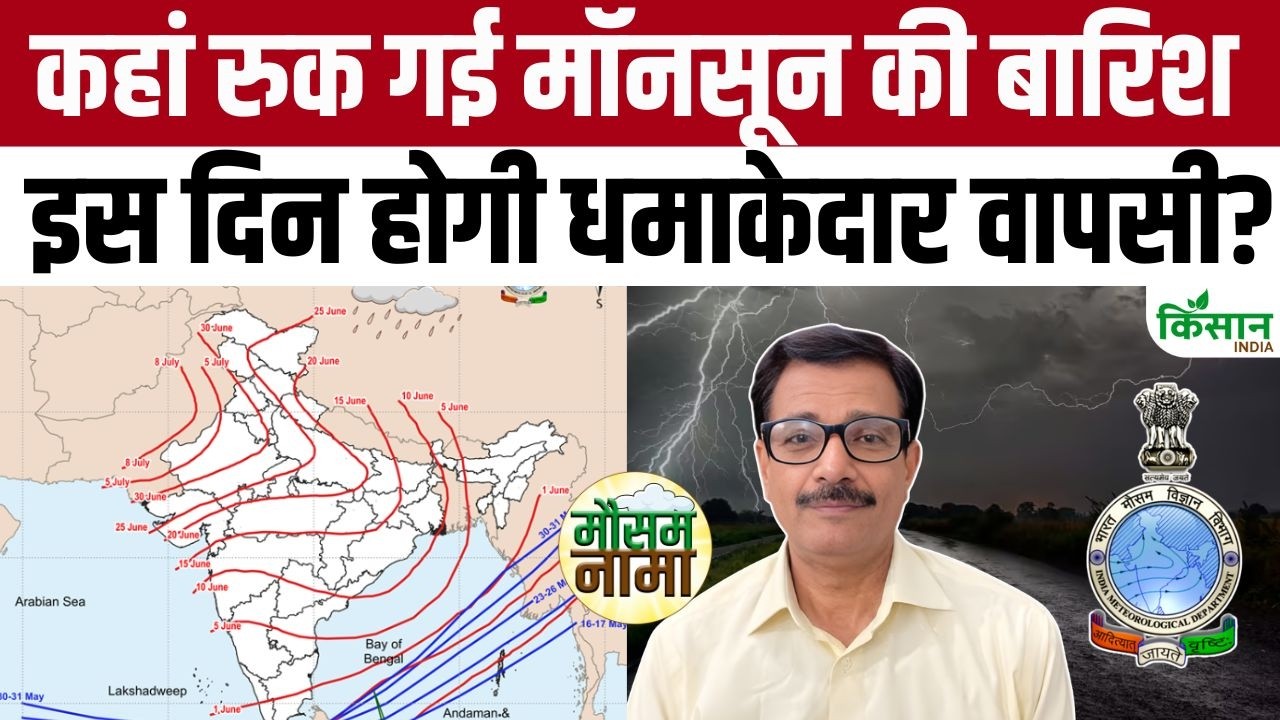 IMD Weather Update Today | IMD's Severe Alert | Weather to change in the next 24 hours | Monsoon ...