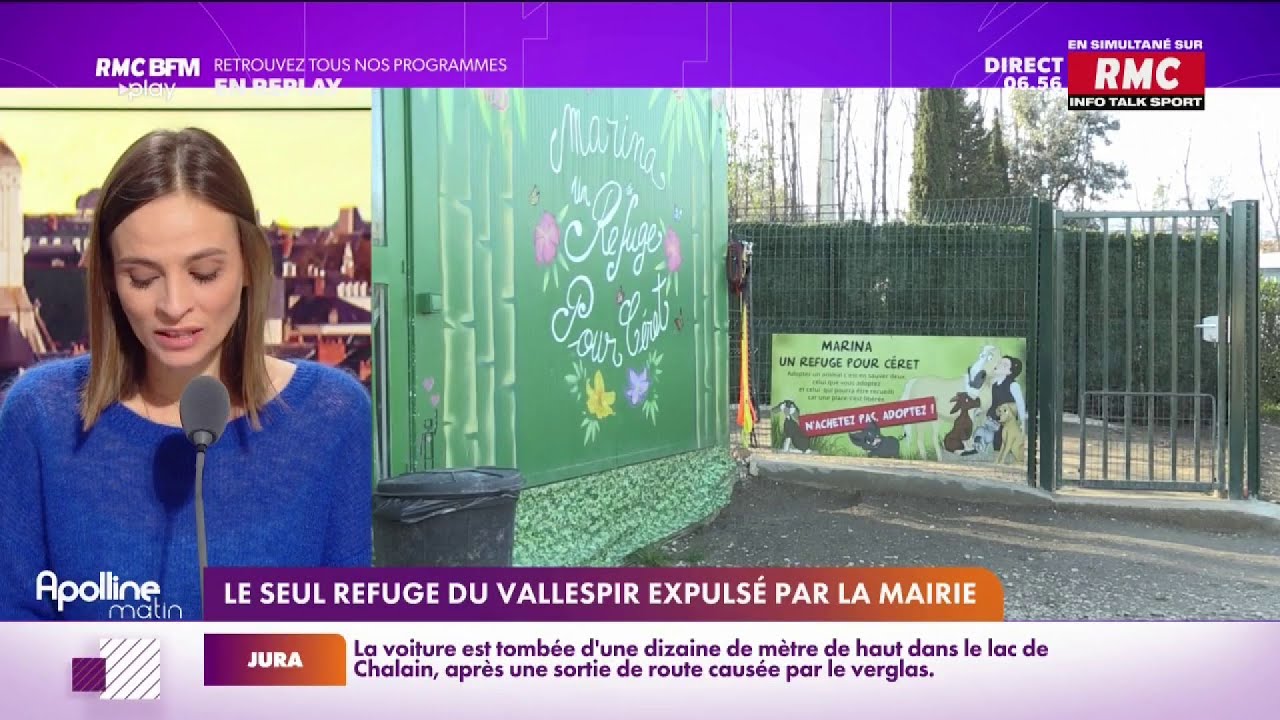 Le refuge animalier du Vallespir est invité à quitter les lieux par la nouvelle mairie