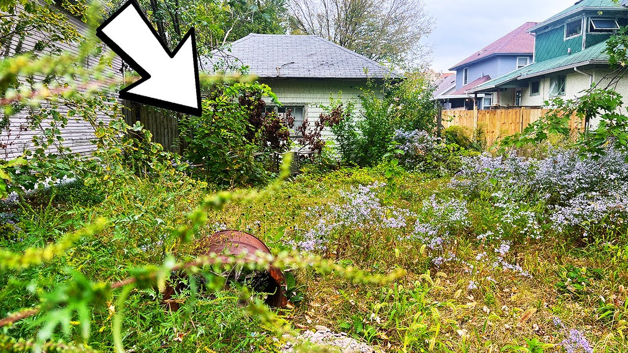 STUNNED this was BURIED in this Yard!