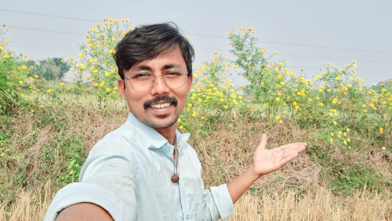 Panta Polallo Puvvulu 🤩