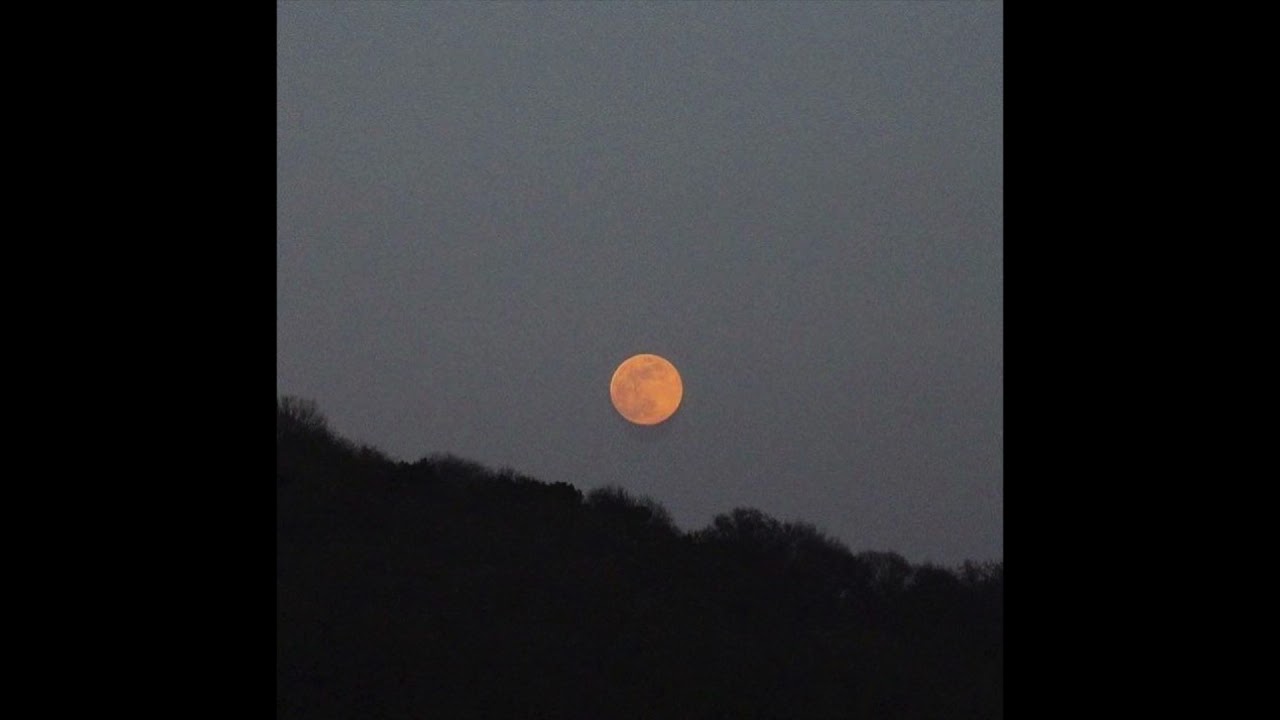 [Free For PROFIT] Sad Alternative Rock Type Beat x Sad Guitar Beat // 