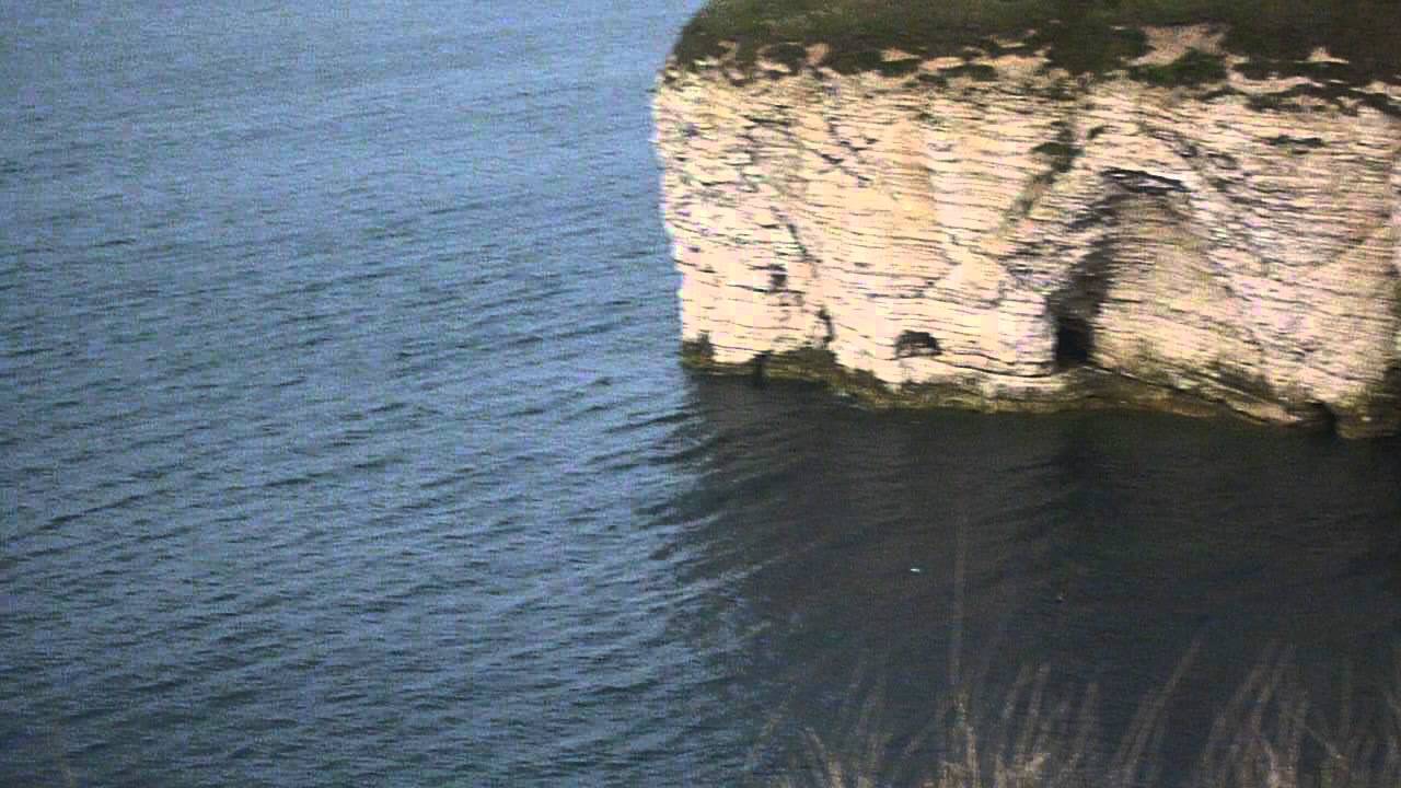 Crag Martin, North Landing (Flamborough, E Yorks)