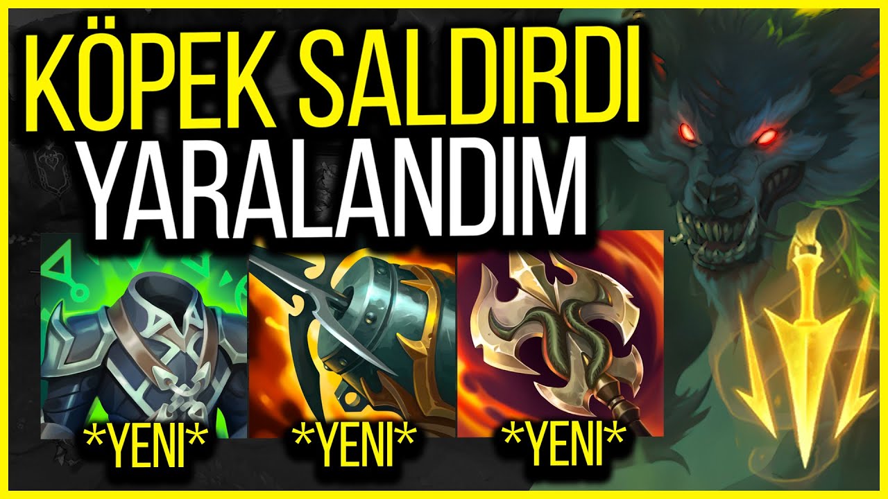 KÖPEK SALDIRISINA UĞRADIM!