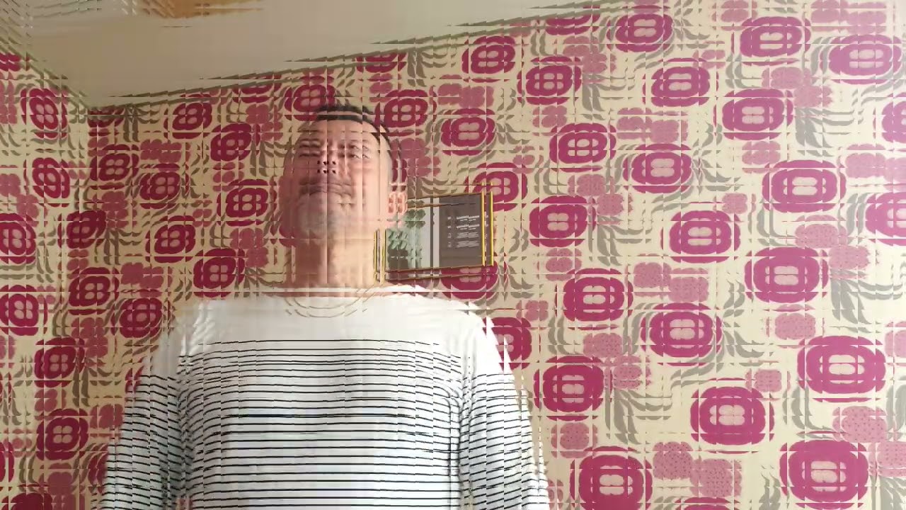 【歌ってみた】北ウイング