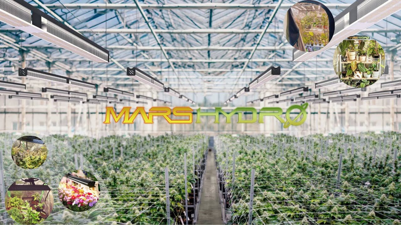 MARS HYDRO | Offer LED Lighting Solutions Around The World