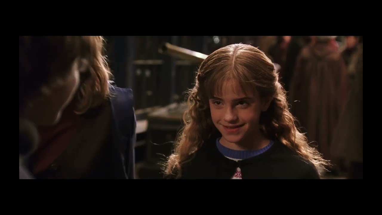 hermione being the mother of the golden trio for 4 minutes straight