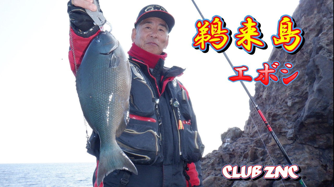 鵜来島 エボシ（2026.2.21）