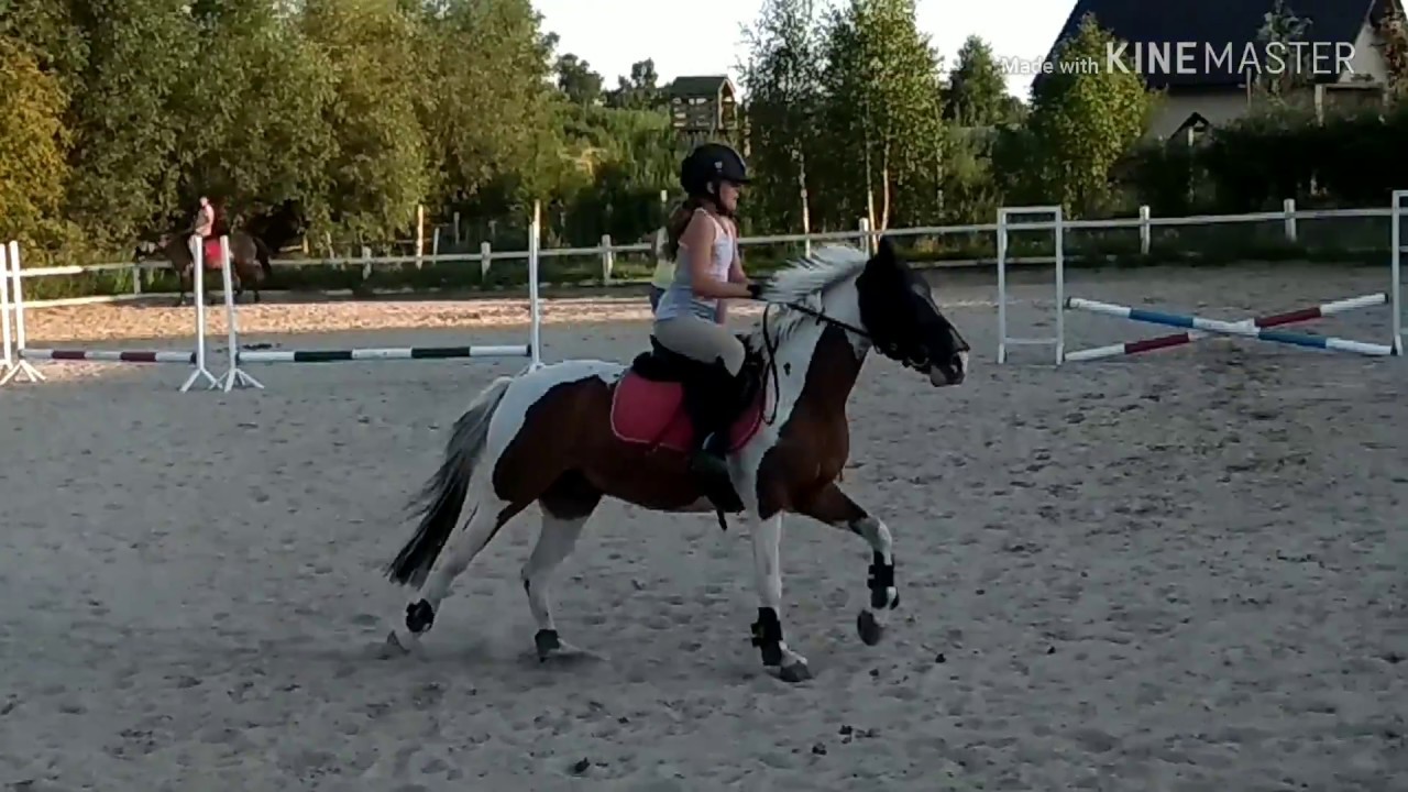 Wakacje w siodle czyli warsztaty jeździeckie SJK Kumaki
