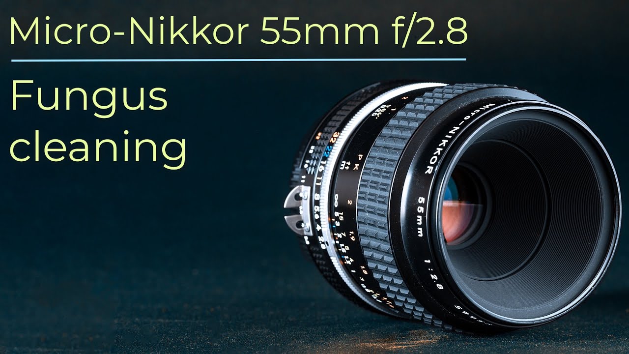 Fungus cleaning : Micro-Nikkor 55 : Lens repair
