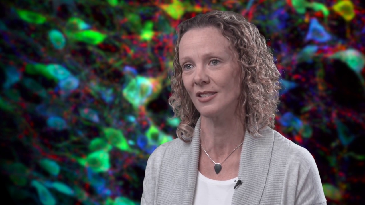 Professor Clare Parish and Associate Professor Lachlan Thompson