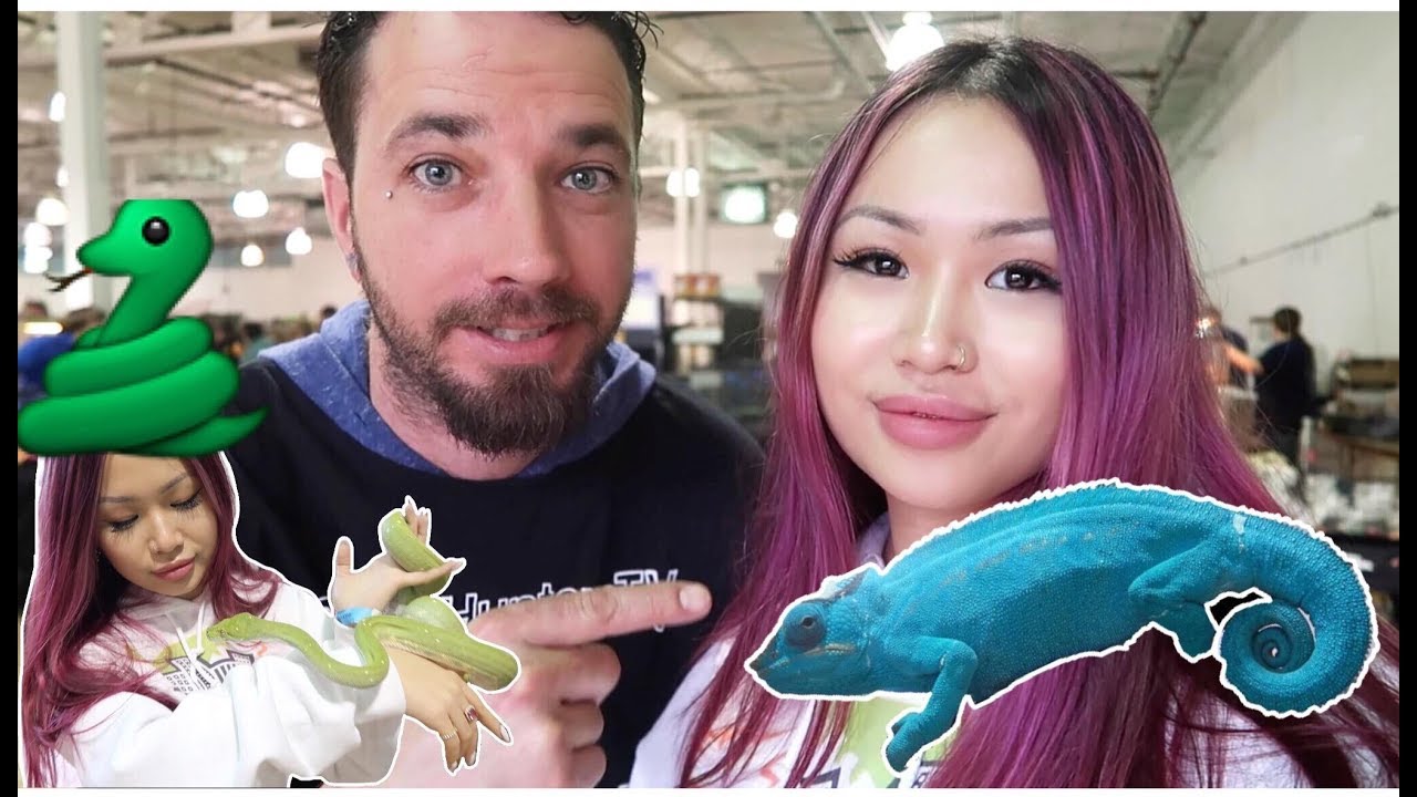 Michigan Taylor Reptile Expo (ft. SnakeHuntersTV)