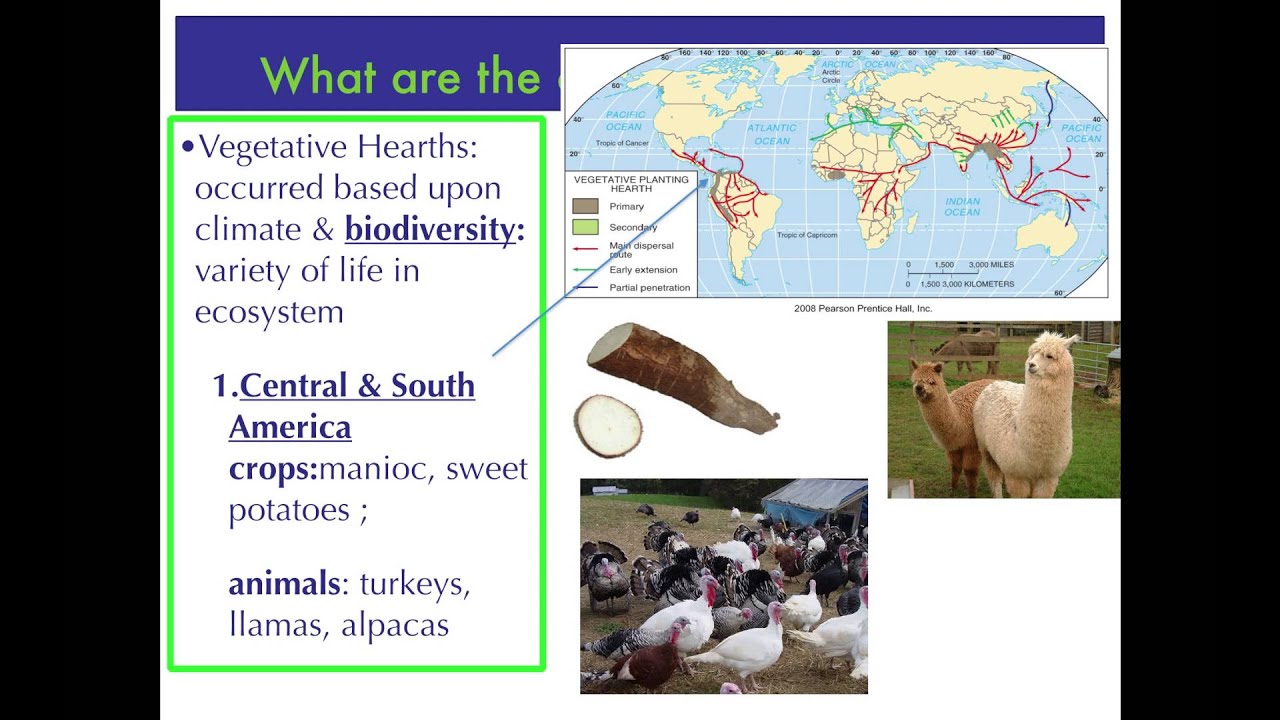 APHG.5.1 - What are the origins of agriculture?