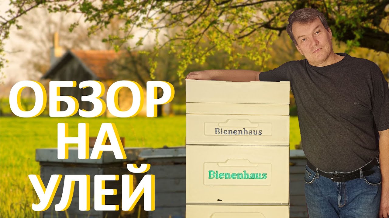 Шести рамочный улей | Применения улья из ППУ #пчеловодство #пчелы