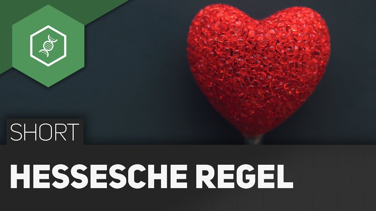 Hessesche Regel / Herzgewichtregel
