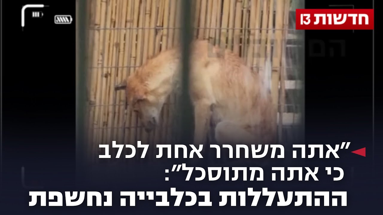 תיעוד משדרות: 
