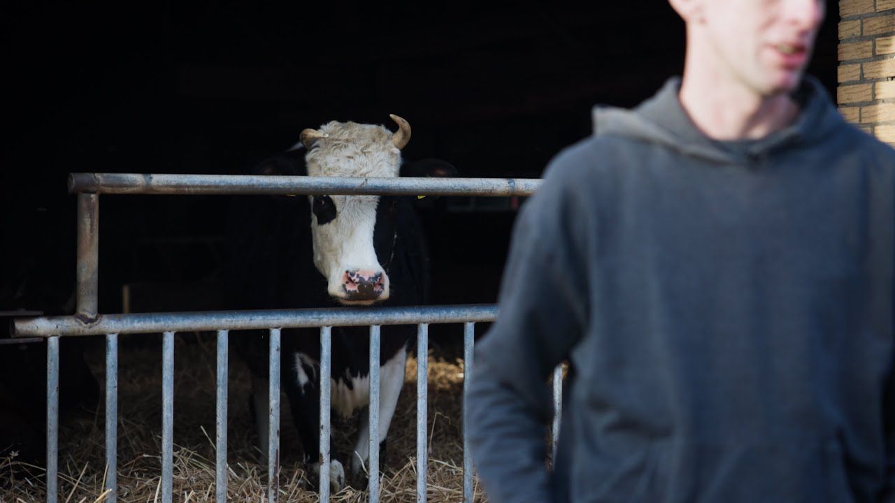 Natuurlijk #7 | Natuurinclusieve melkveehouderij