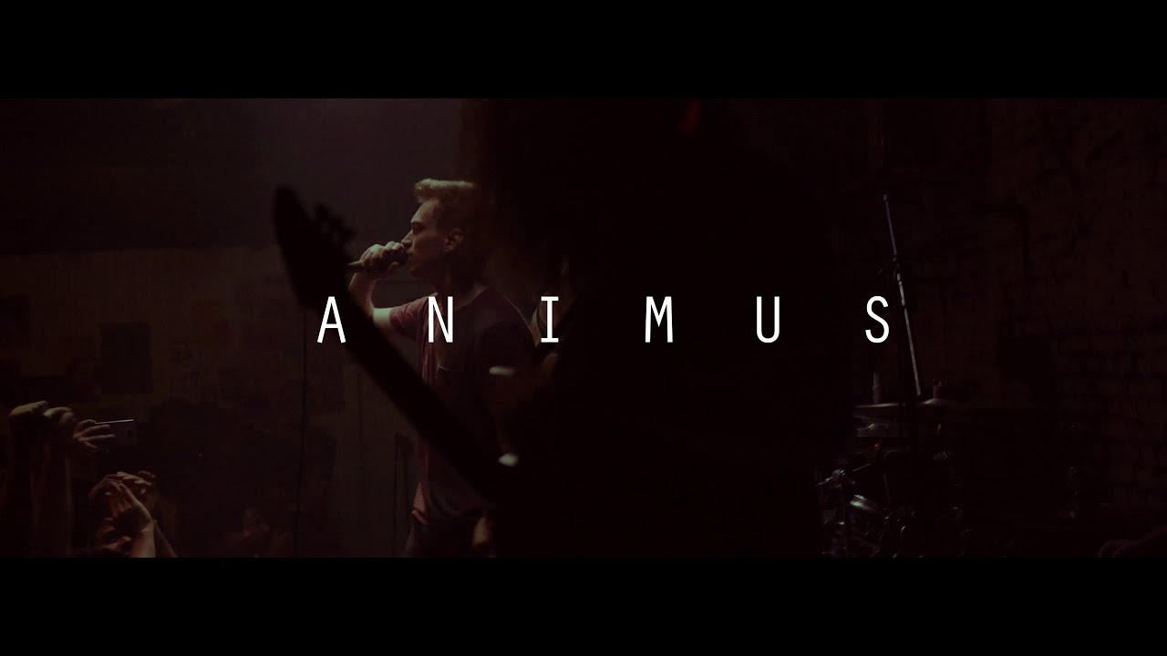 Monuments - Animus | Live at antiSOCIAL | Unofficial Fan Video