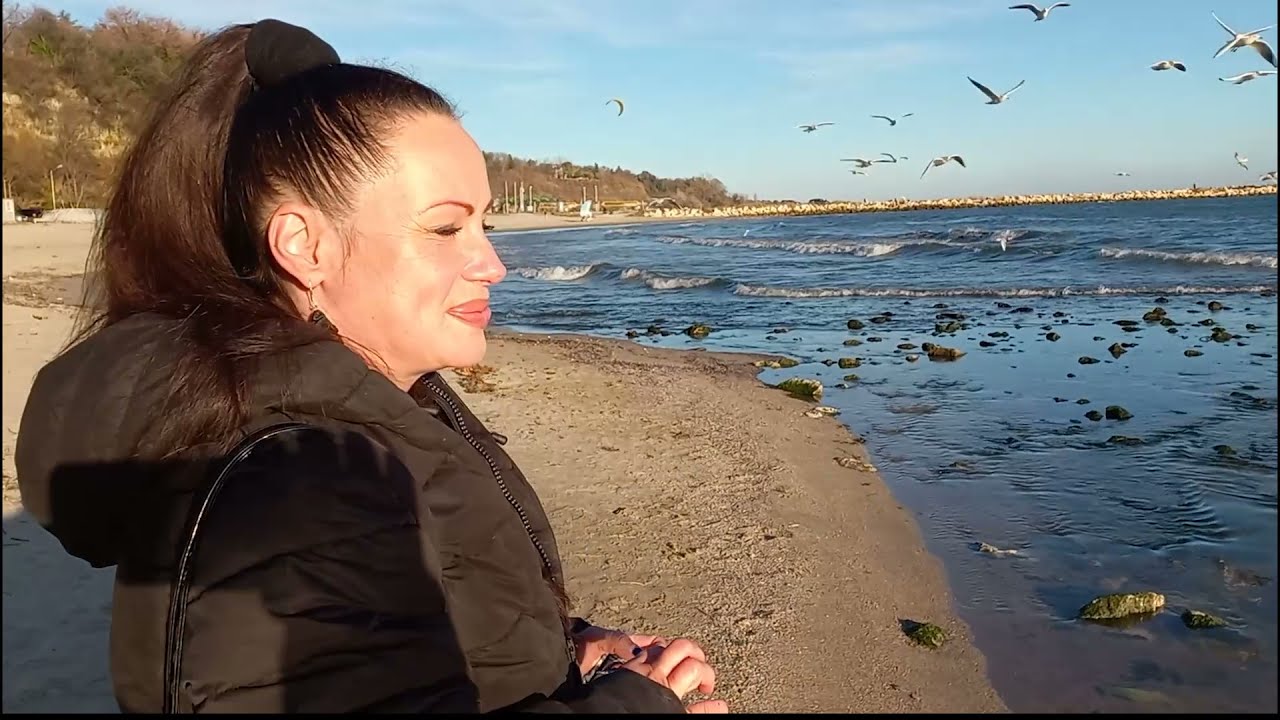Feeding Seagulls on The Beach / Seagull sounds / Flying Gulls / Relaxing Video