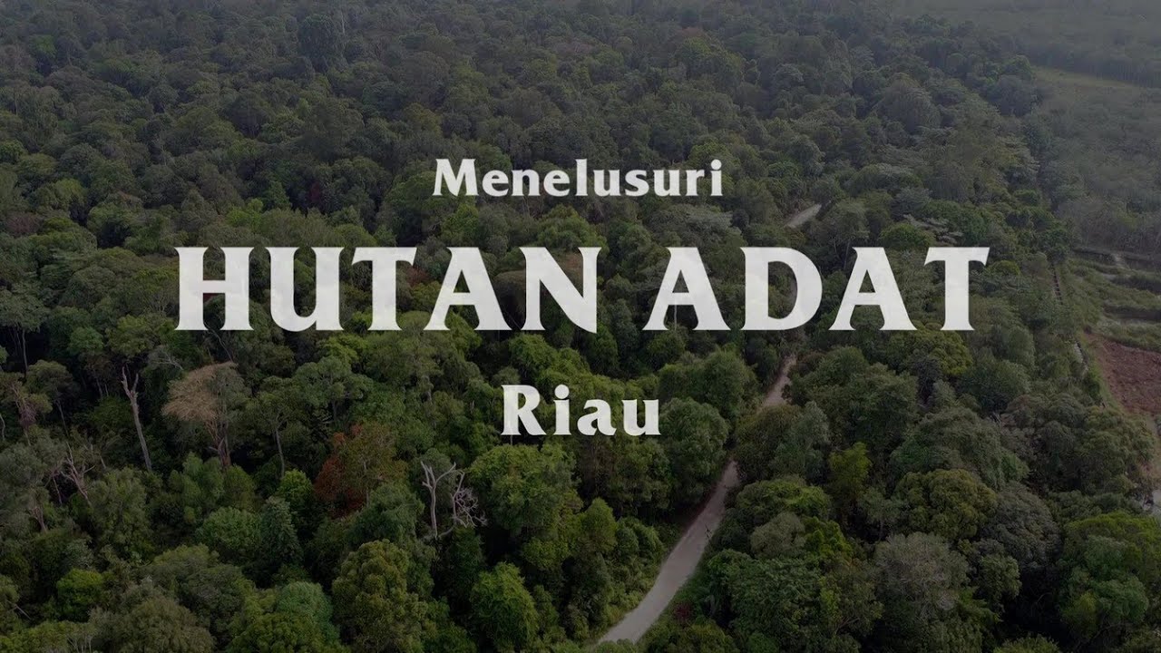 Menelusuri Hutan Adat Riau
