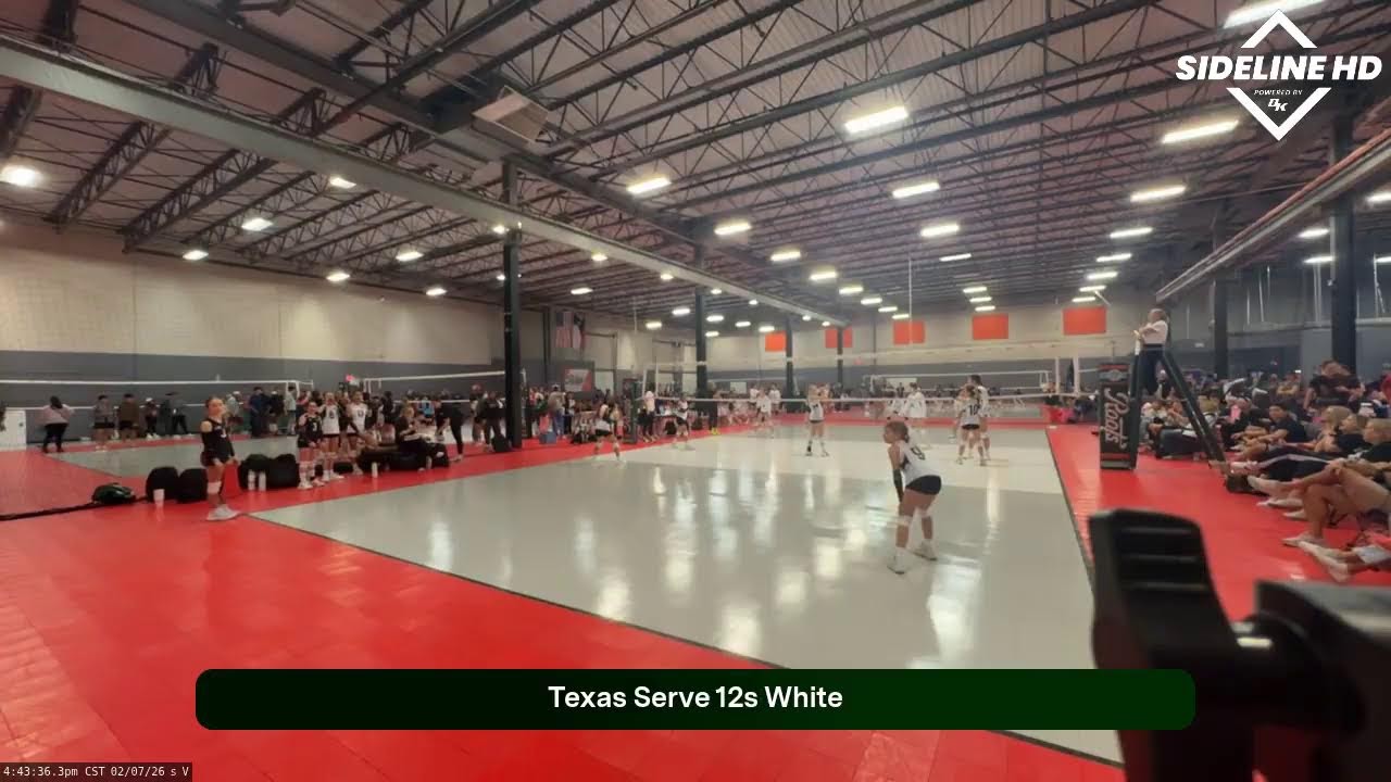 TSV 12s White (2026.02.07)
