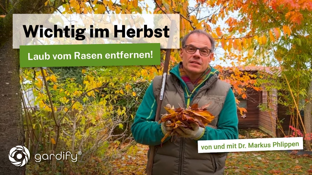 Laub entfernen oder liegen lassen? Tipps f&uuml;r den Herbst im Garten