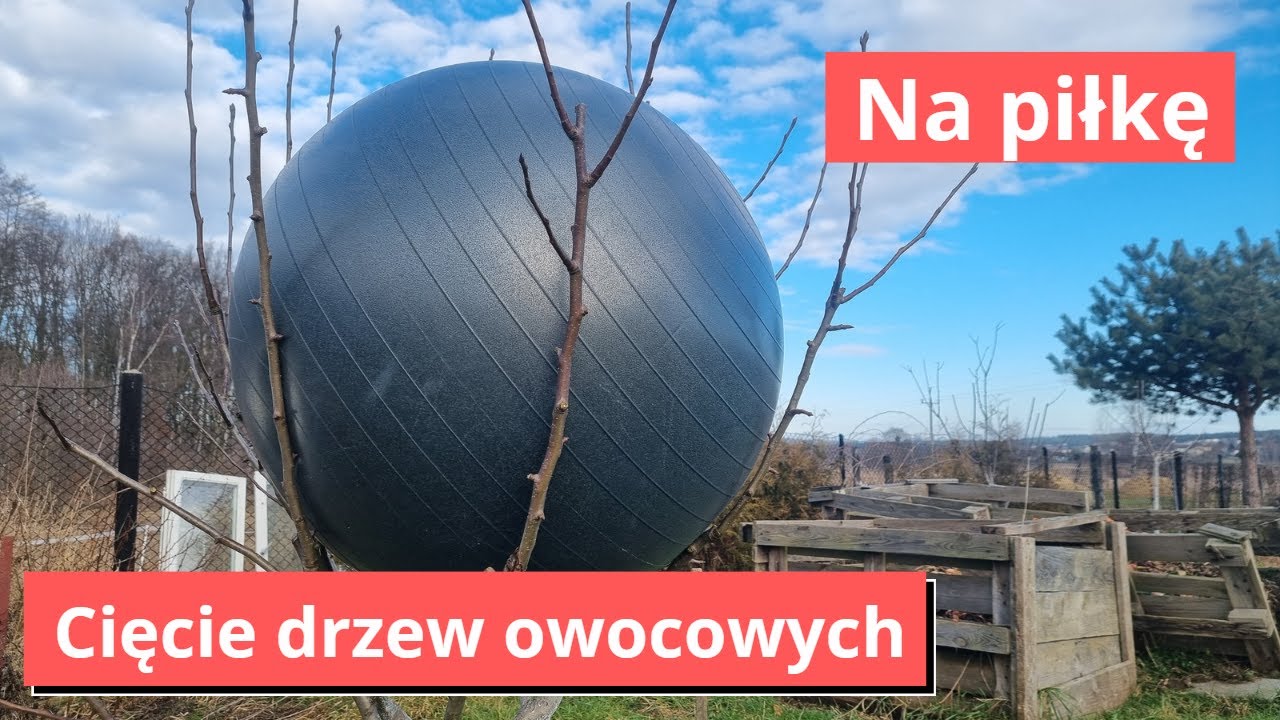 Prosta metoda cięcia drzew owocowych