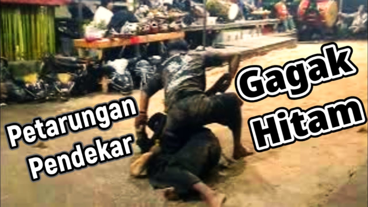 PETARUNGAN PARA PENDEKAR GAGAK HITAM 🕺🕺🕺