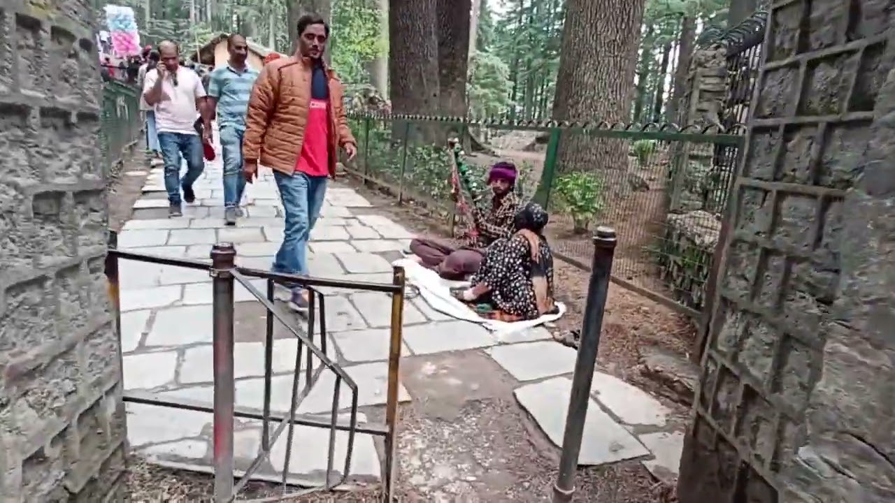 Manali Trip : A Wonderful Place to Experience  #india #manali #trending  #travel #nature