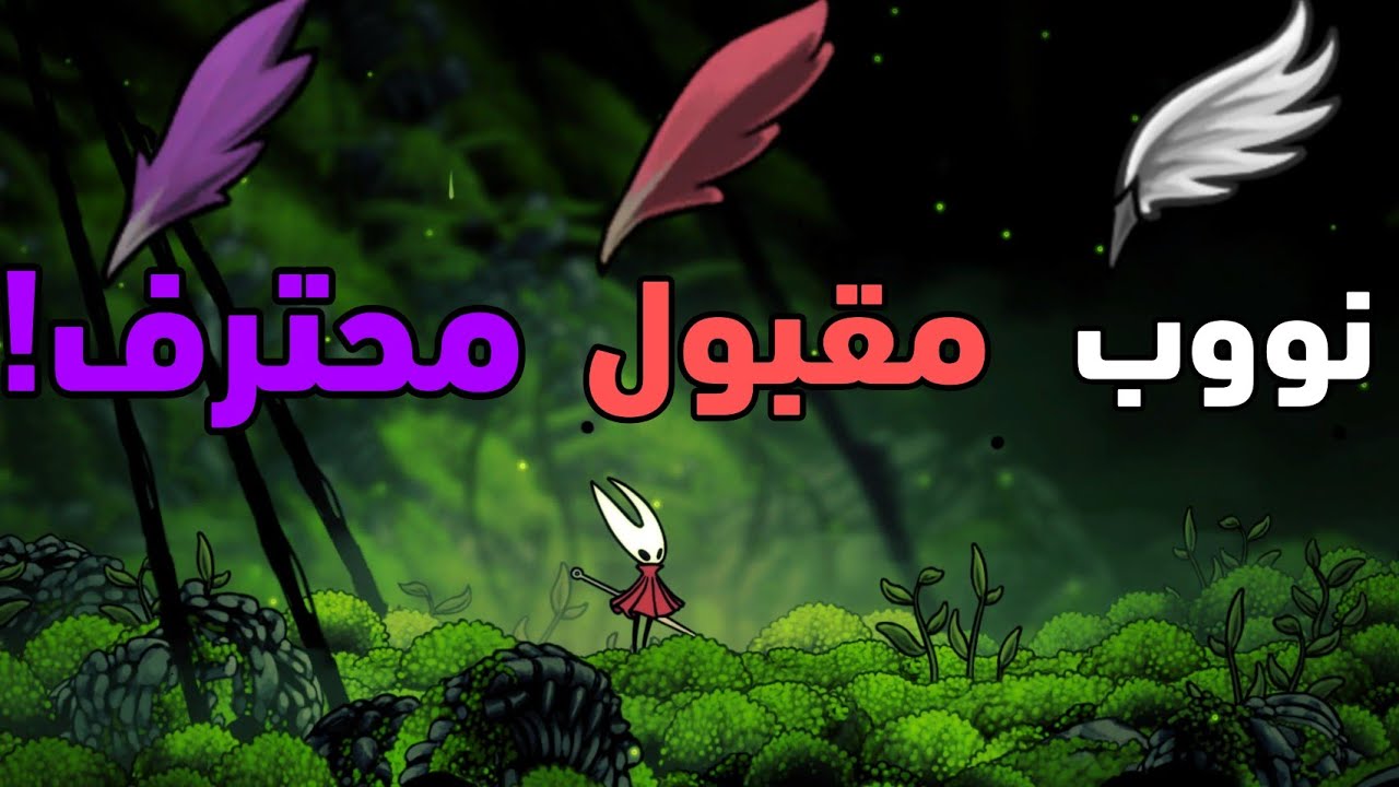31 سر و معلومة في هولو نايت سيلكسونغ ما كنت تعرفها قبل كذا!!