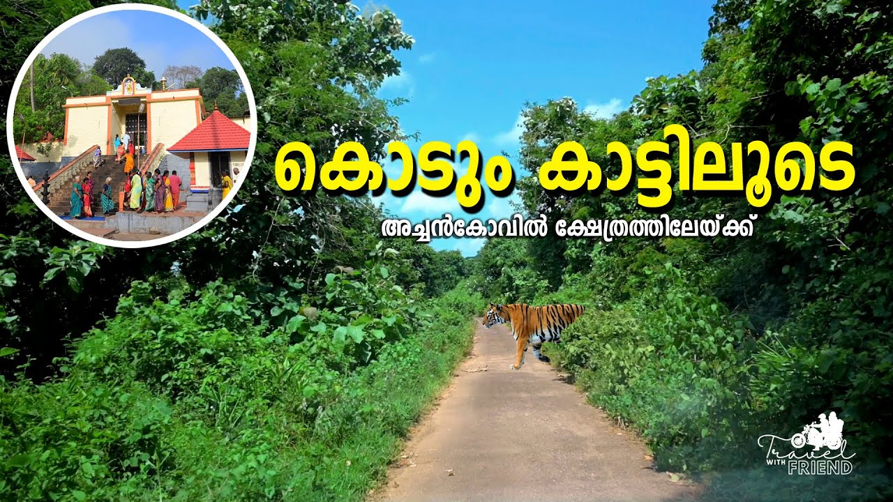 Achankovil Dharmasastha Temple  |  അച്ചൻകോവിൽ  |  കാട്ടിലൂടെ യാത്ര |  Vlog 5