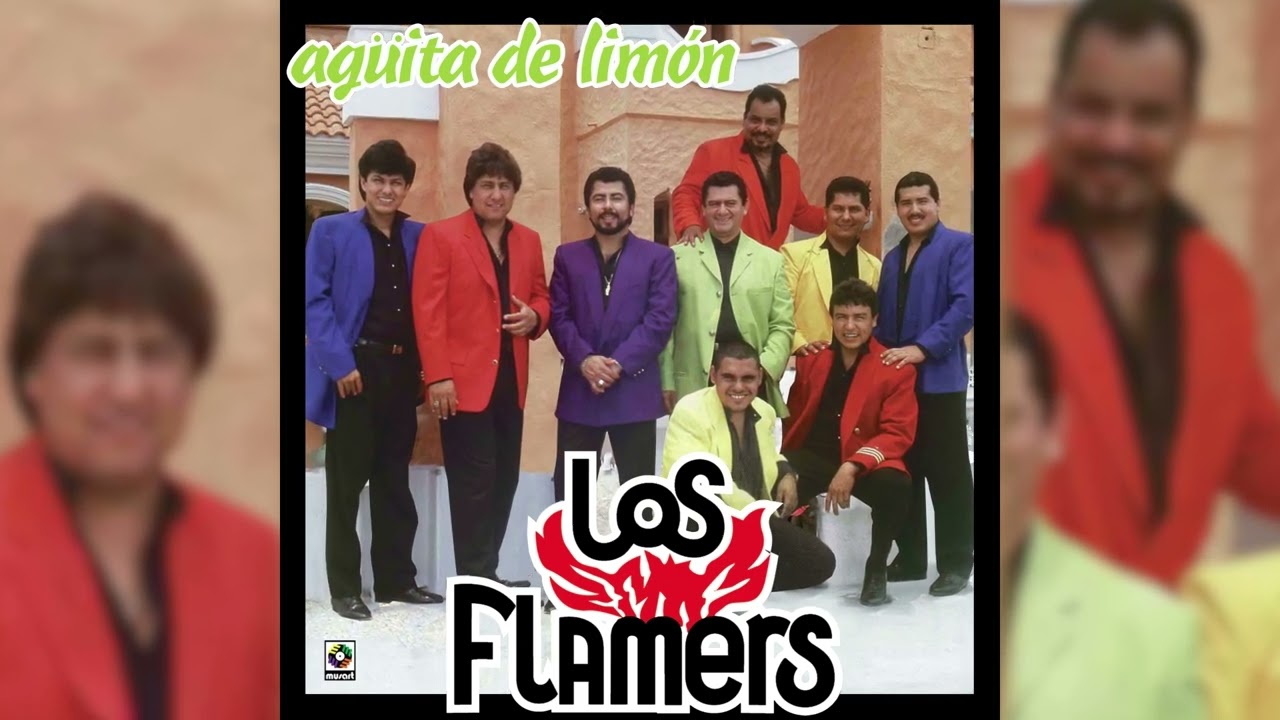 Los Flamers - Me Hace Pum Pum (Visualizador Oficial)