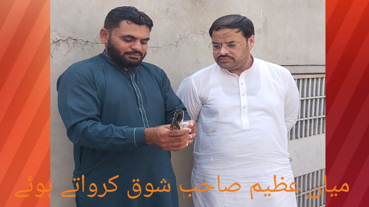 ورلڈ فیمس استاد میاں عظیم نذیر اپنے شاندار کبوتروں کا شوق کرواتے ہوئے03004421031