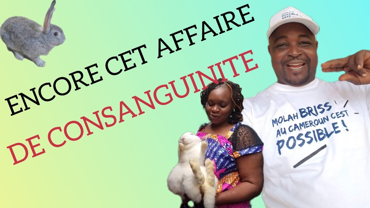 AFFAIRE DE CONSANGUINITÉ : PARLONS EN ENCORE | élevage des lapins @lepetitelevagefk