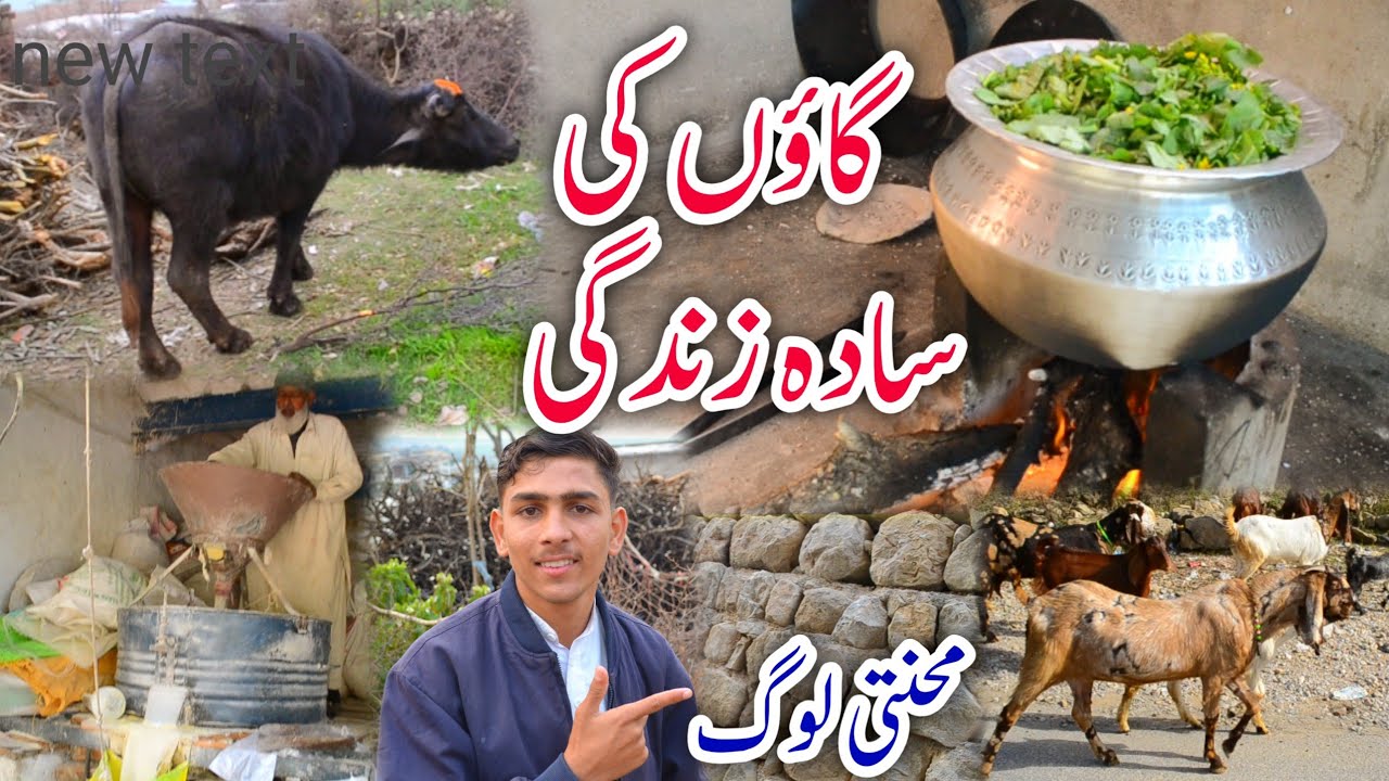Desi Simple Village Life in Azad Kashmir گاؤں کی سادہ زندگی اور دیسی لوگ | Mirpur Azad Kashmir Life