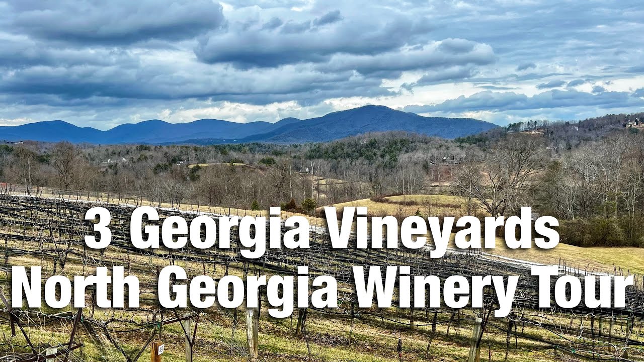 North Georgia Winery Tour - Dahlonega Georgia Wineries - Georgia Vineyards