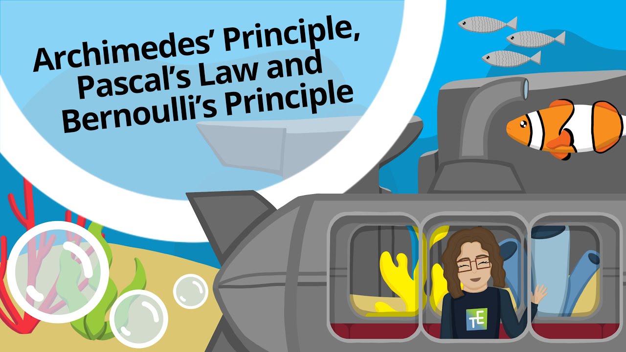 Archimedes' Principle, Pascal's Law and Bernoulli's Principle