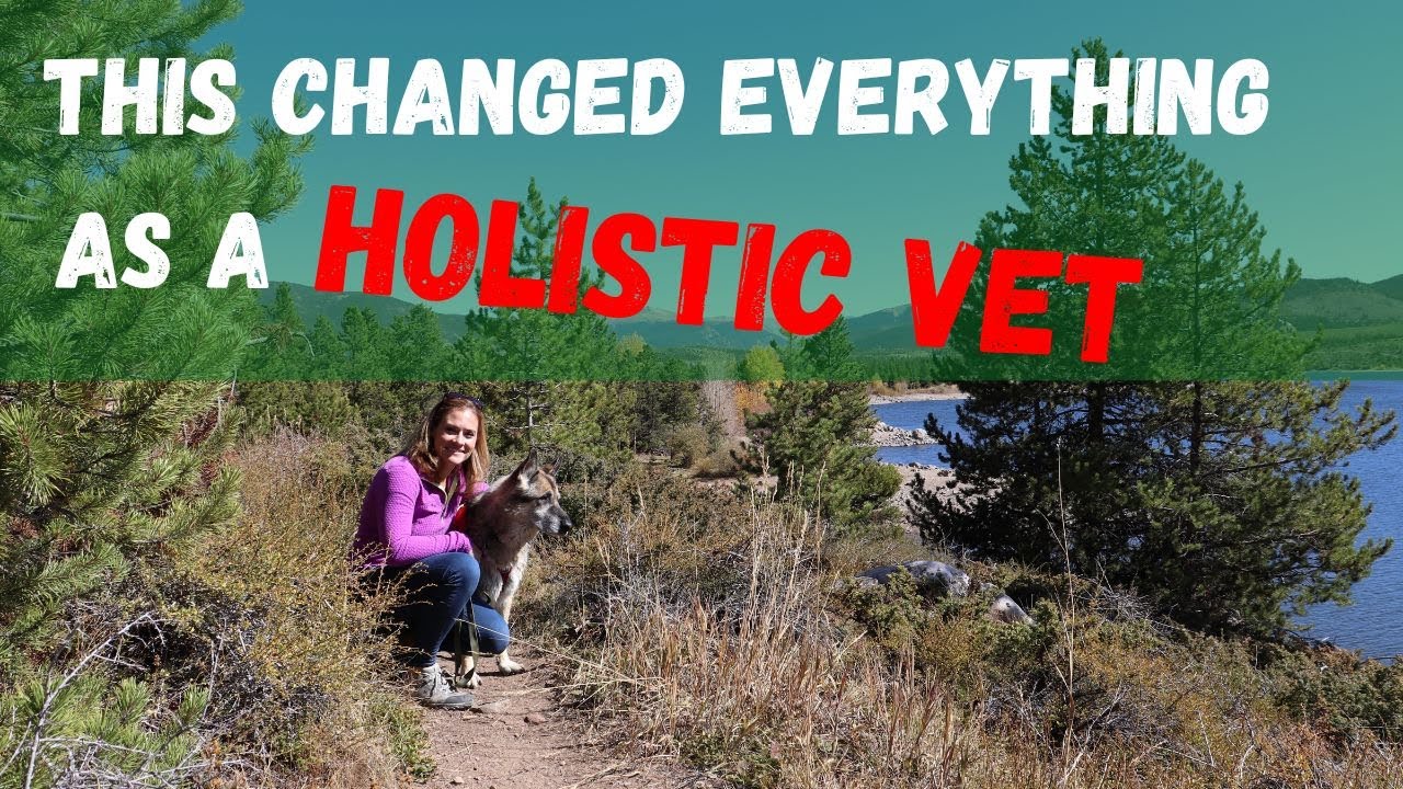 The Moment That Changed Everything: Why I Became a Holistic Vet