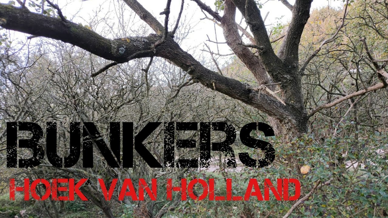 Bunkers Hoek van Holland