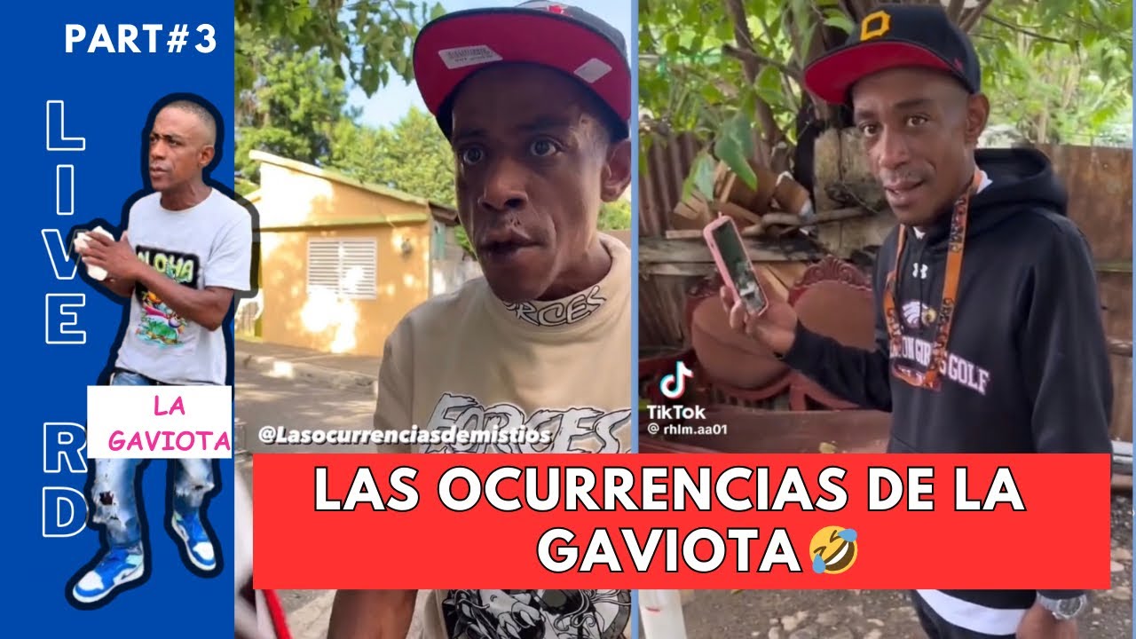 LOS MEJORES VIDEO DE LA GAVIOTA 🤣 /part3 (si te ríes pierdes)