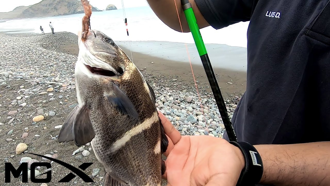 ¿Cómo es un día de Surfcasting?